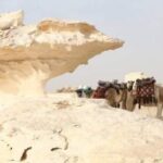 لم تتغير منذ ملايين السنين.. معالم الصحراء البيضاء بالفرافرة تضم منحوتات صخرية بديعة